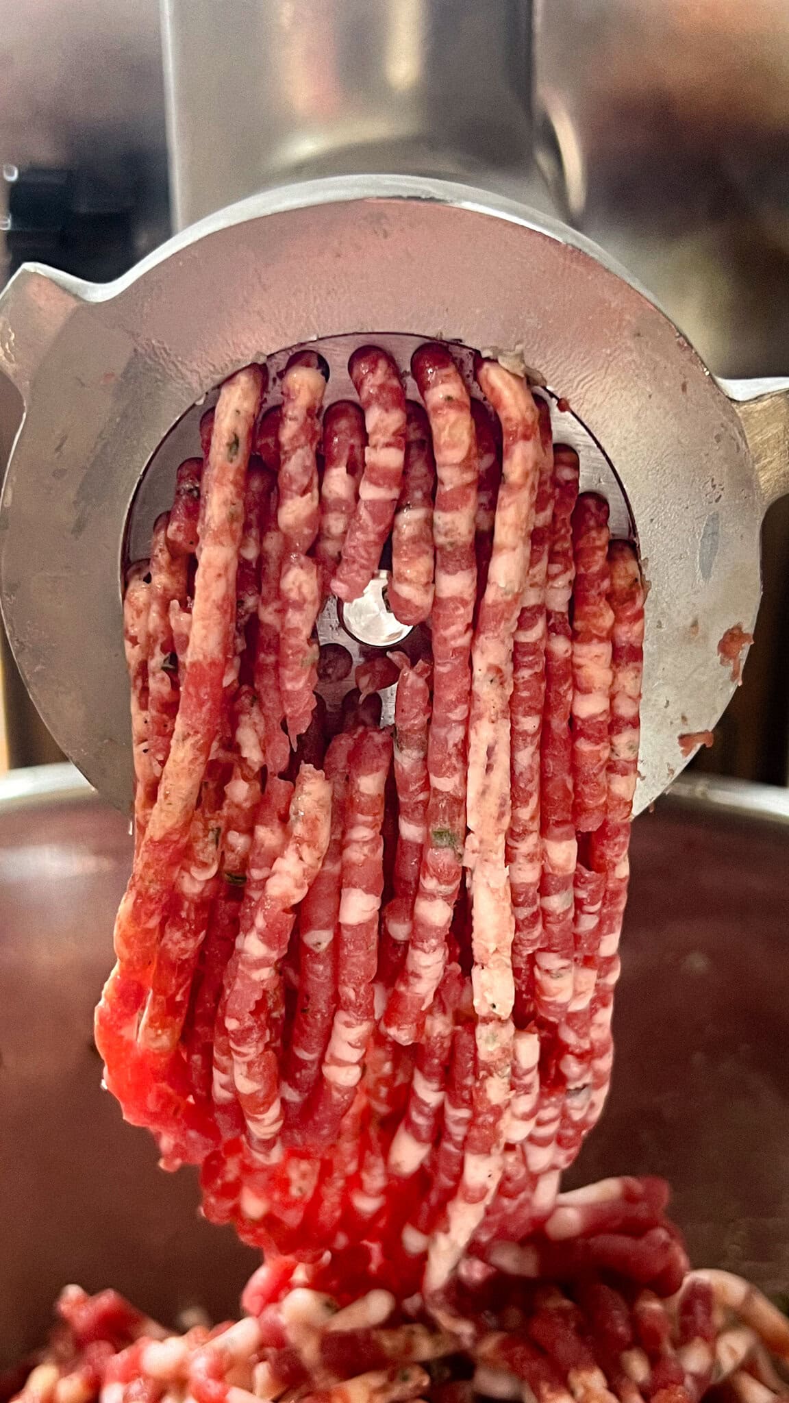 Ground wild boar extruding through a meat grinder.