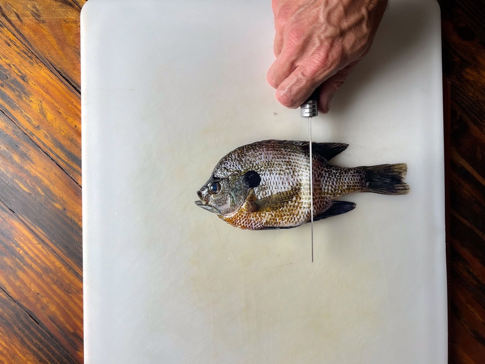 Whole Fried Bluegill Recipe