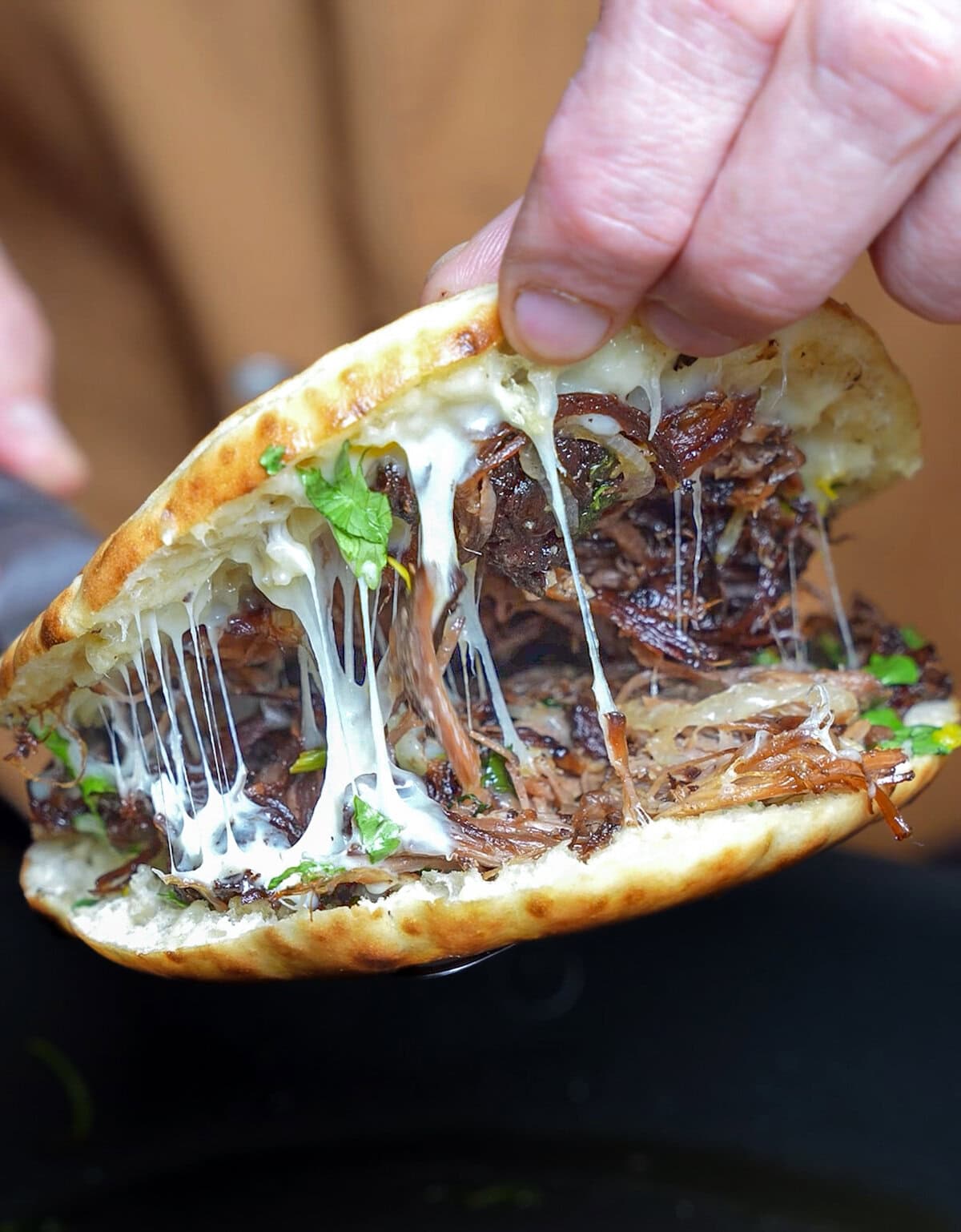 wild boar carnitas recipe