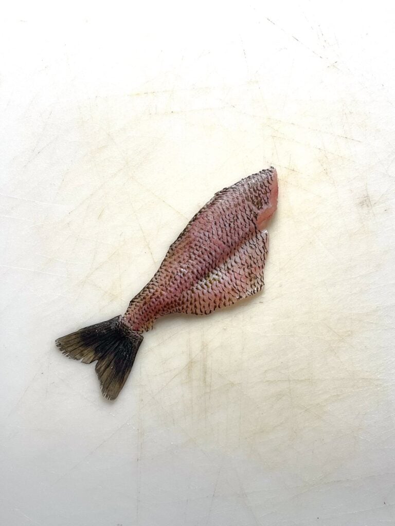 fried brim