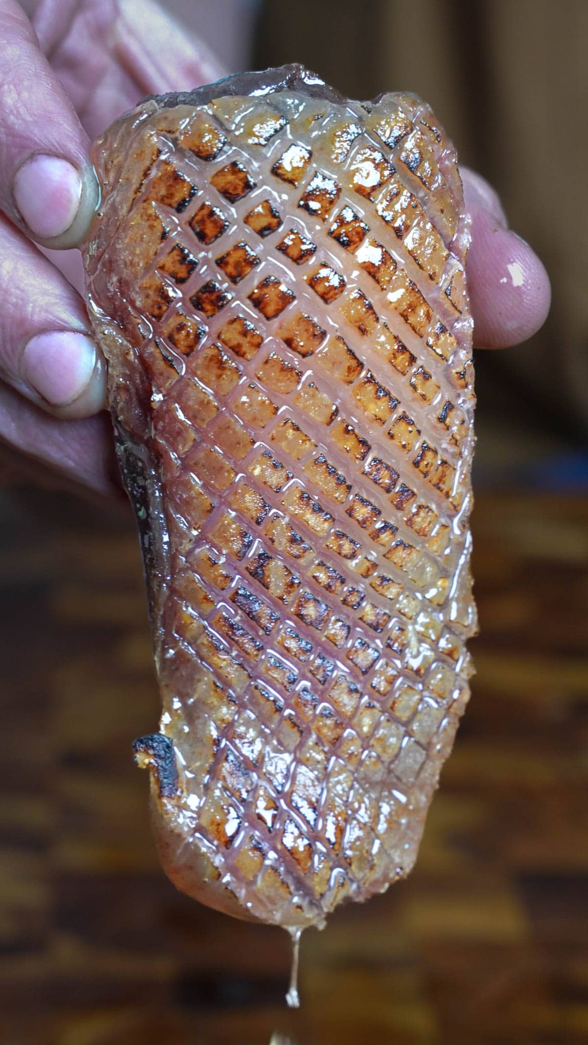 goose prosciutto recipe