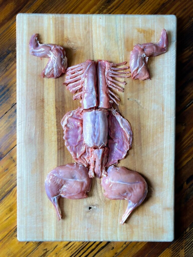 is it safe to eat squirrel meat