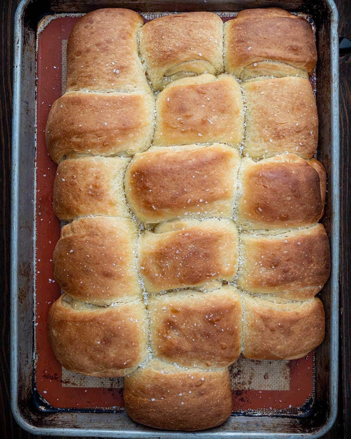 Parker house rolls on a pan.