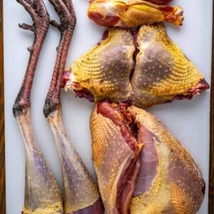 wild turkey recipes