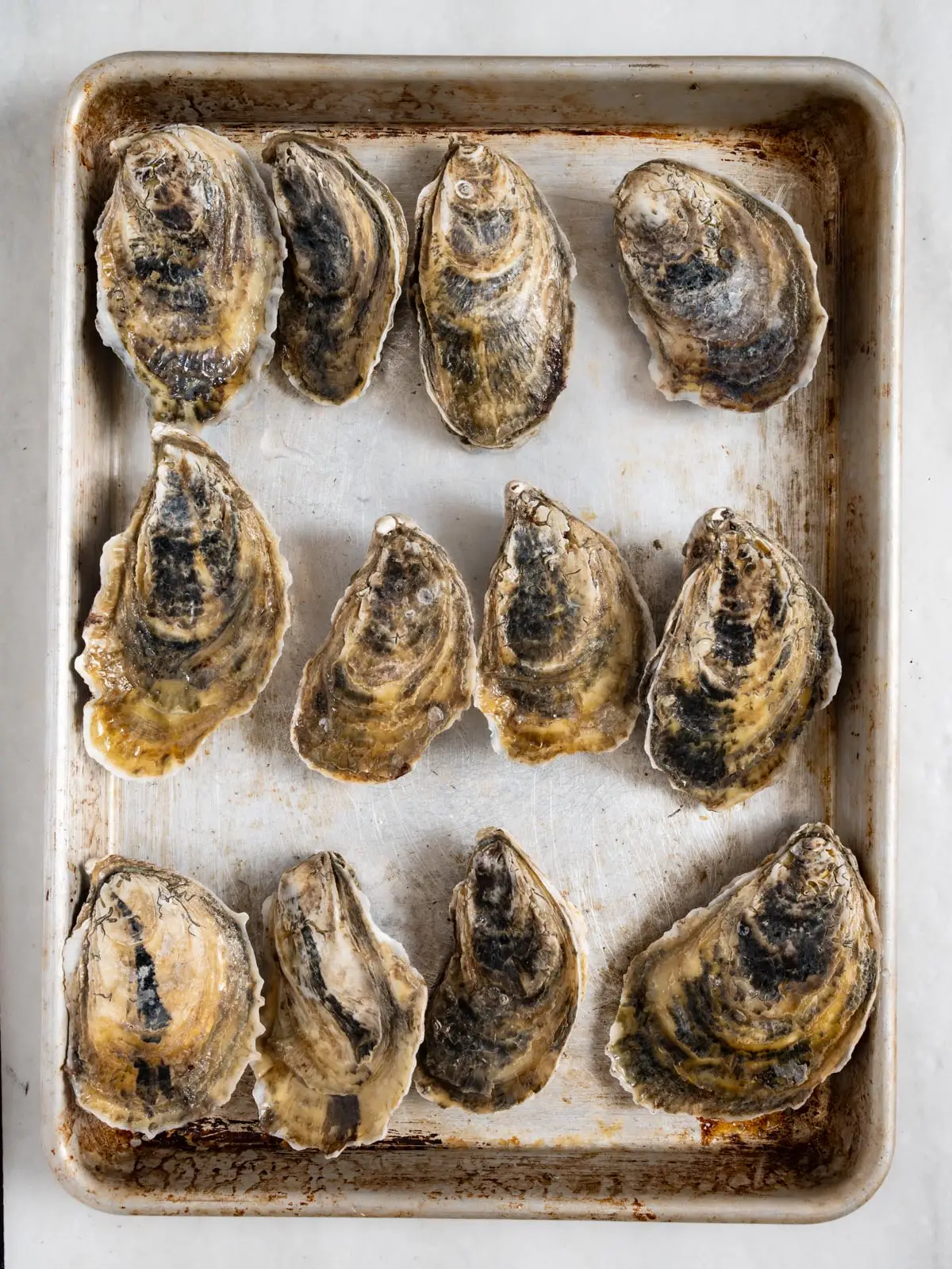 Oysters on a baking rack