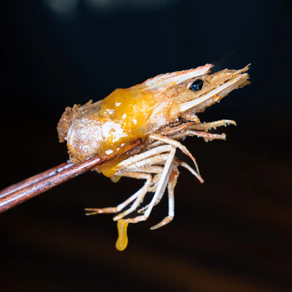 fried shrimp heads recipe