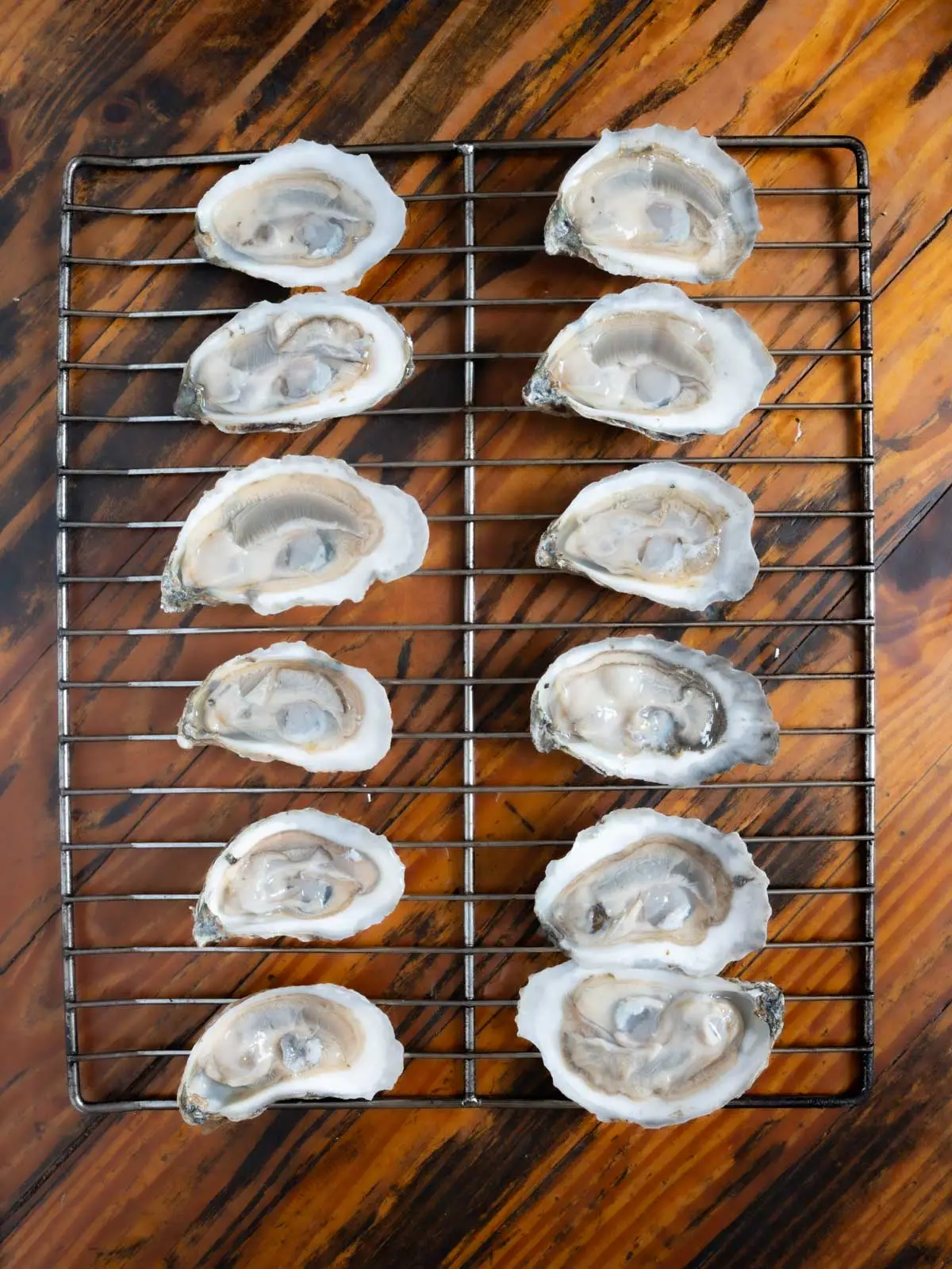 Oysters on a rack
