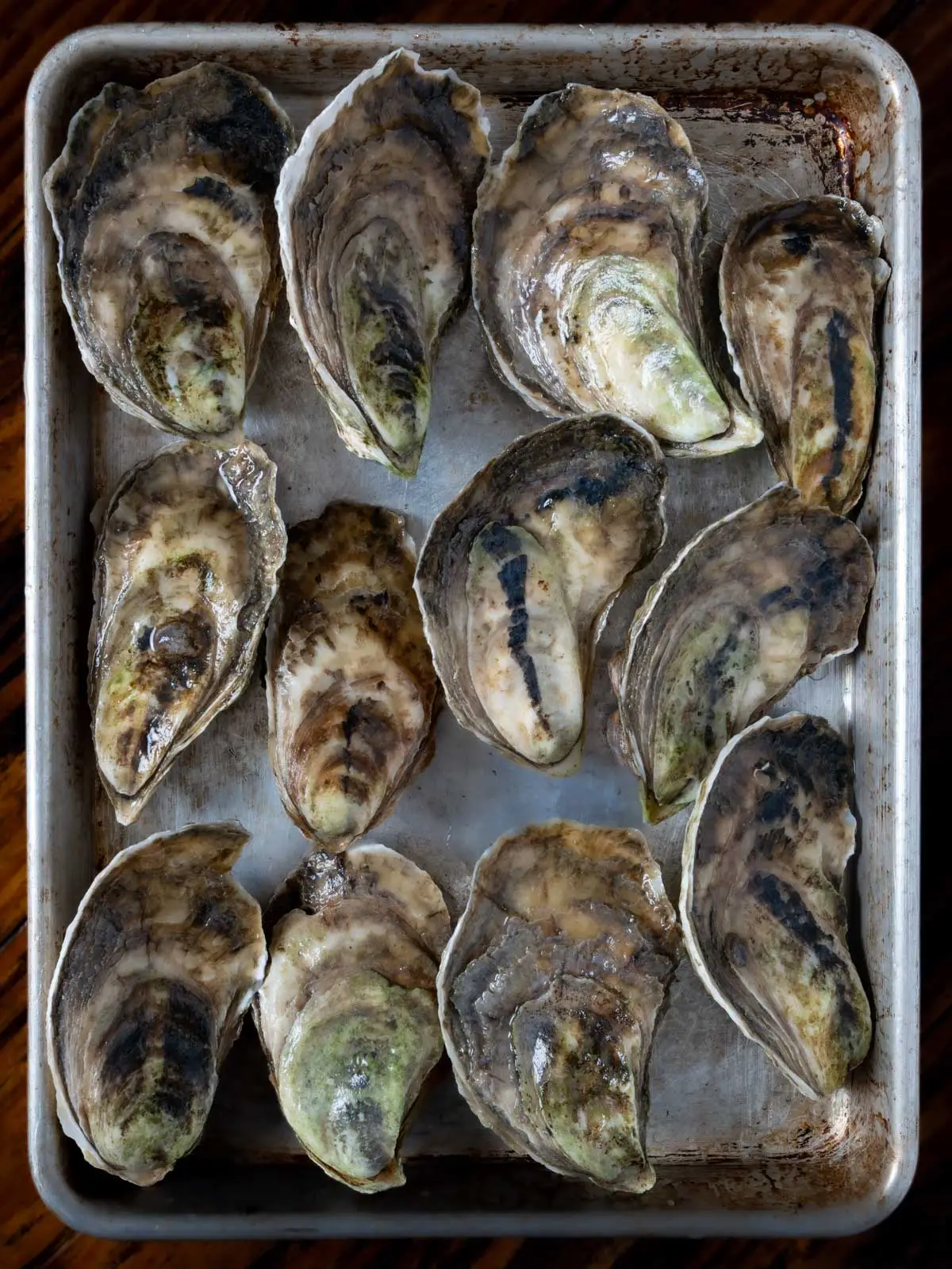 steaming oysters