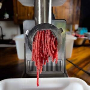grinding venison