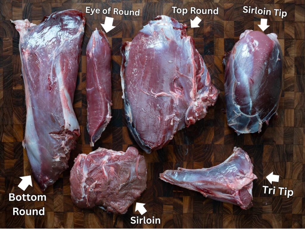 deer hind quarter diagram