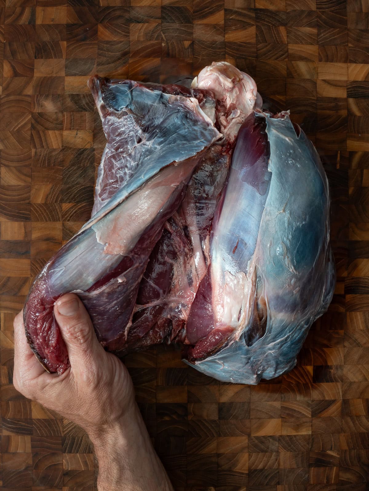 peeling away a venison bottom round.