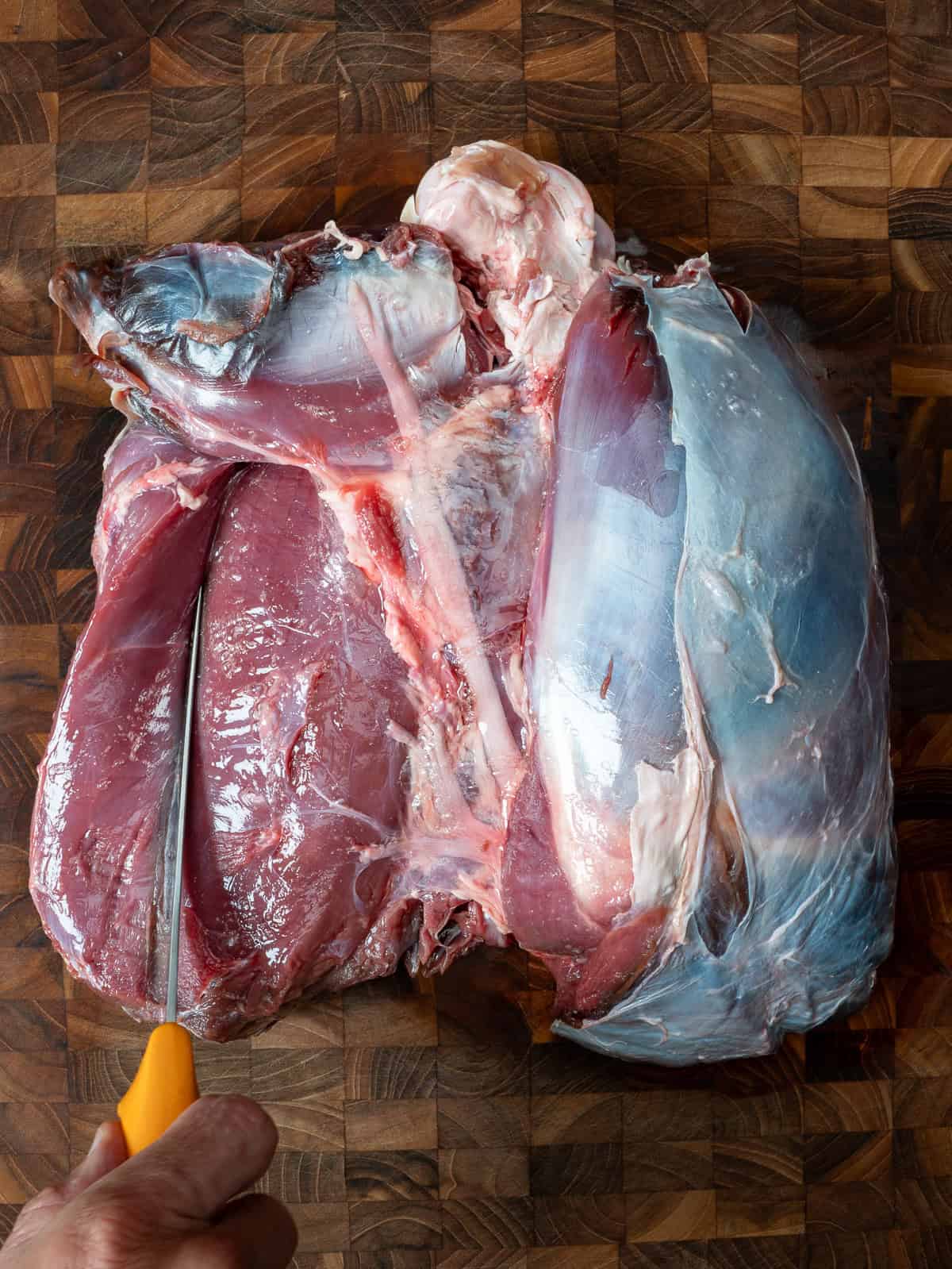 locating the venison eye of round.
