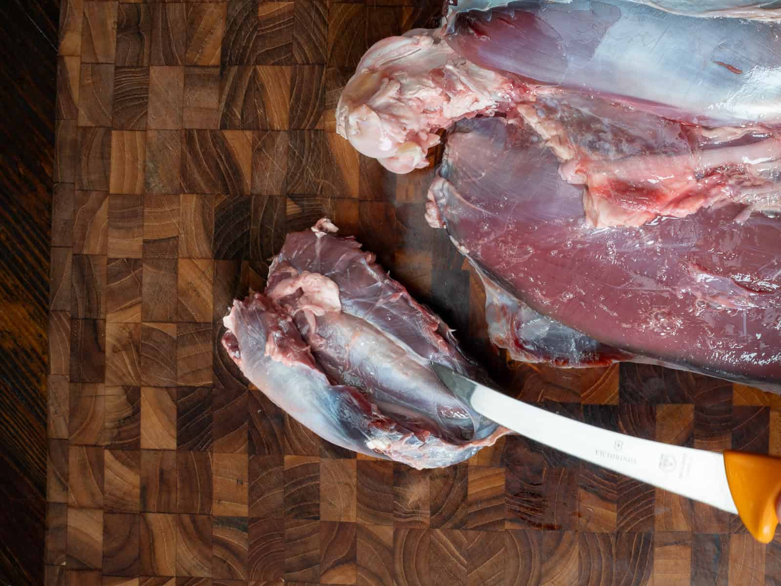 venison heal
