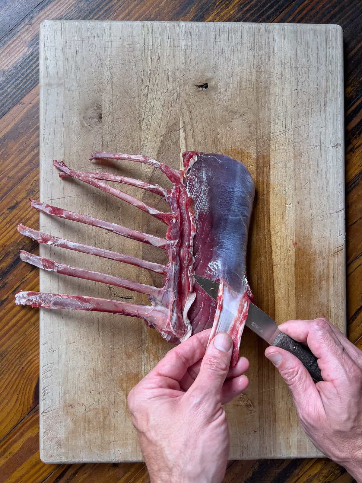 Removing silverskin from venison rack.