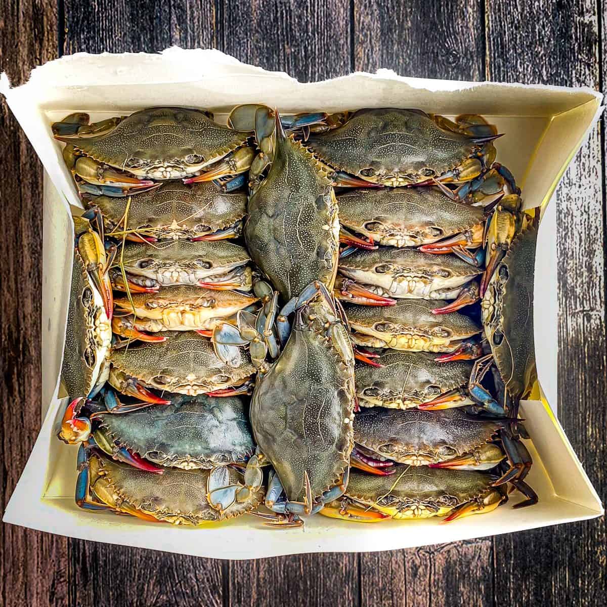 soft shell crabs in a white box
