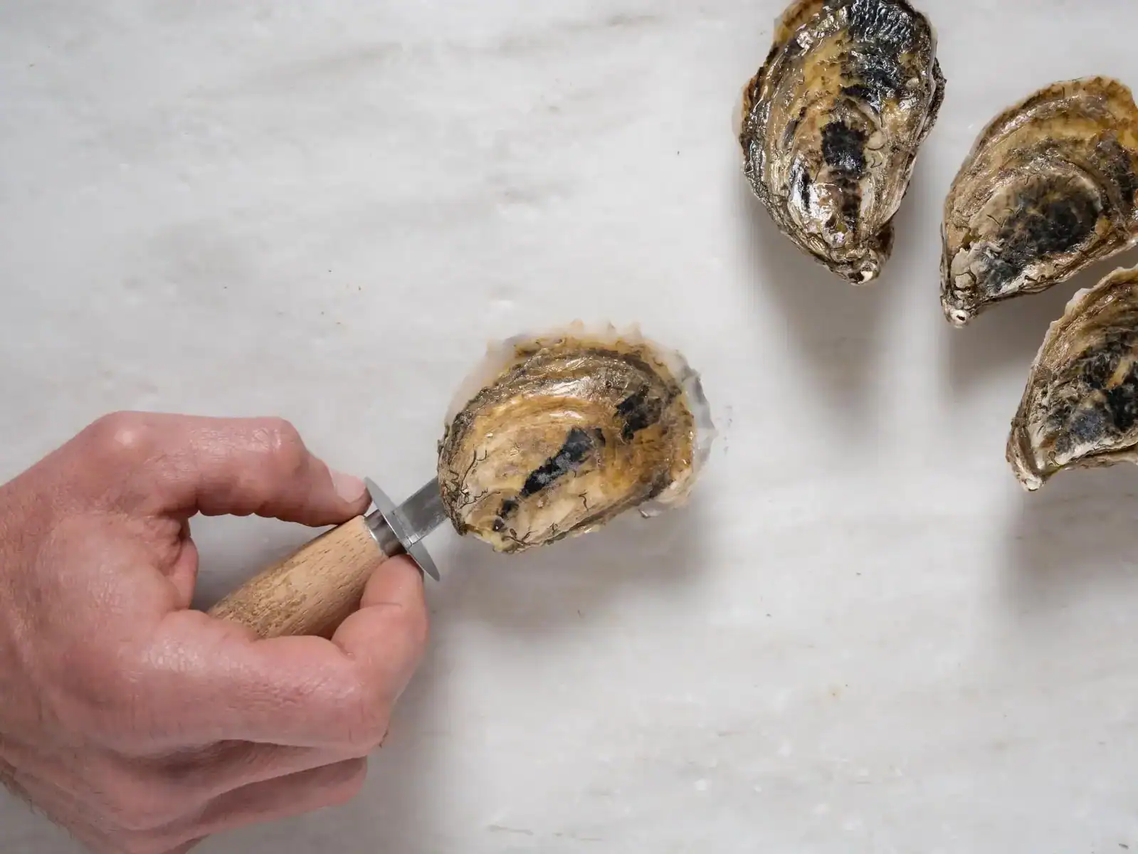 Sucking an oyster